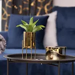 Apartamento Beaufort Estate By Renters *